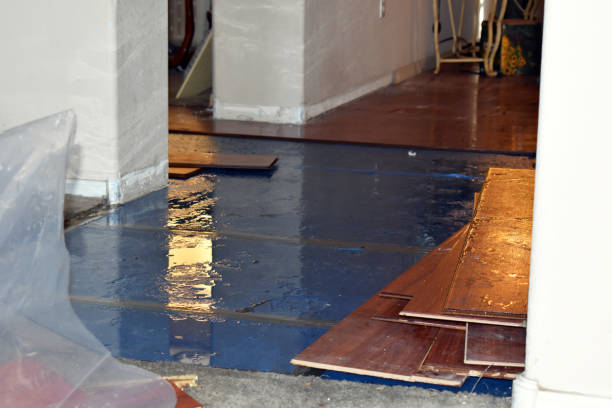 Professional Sewage Cleanup technician working in Woodland, WI